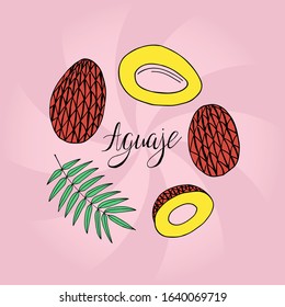 Aguaje on pink background. Pop art hand drawn poster. Stock vector illustration.