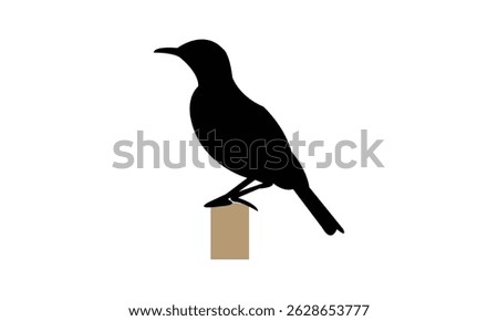 Agulhas long billed lark bird Silhouette Design  And Vector Illustration. 