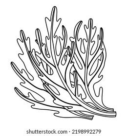 Icono Agurula, ilustración lineal aislada, vector de línea delgada, signo de diseño web, símbolo de concepto de contorno con trazo editable sobre fondo blanco. 