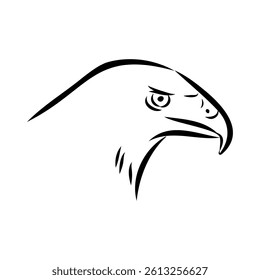 aguya vector sketch Black sketch of Booted Eagle in fly on white background.