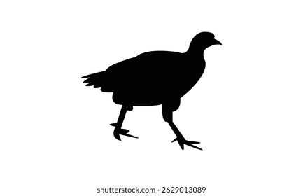 Ahanta spurfowl bird Silhouette Design  And Vector Illustration. 
