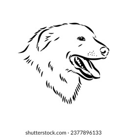 aidi dog, vector sketch outline pencil drawing artwork, black character on white background