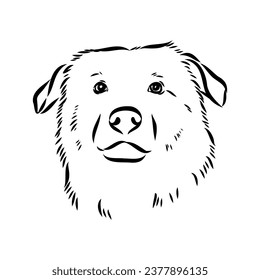 perro aidi, dibujo vectorial boceto dibujante de lápiz, carácter negro sobre fondo blanco