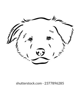 aidi dog, vector sketch outline pencil drawing artwork, black character on white background