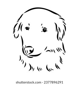 aidi dog, vector sketch outline pencil drawing artwork, black character on white background