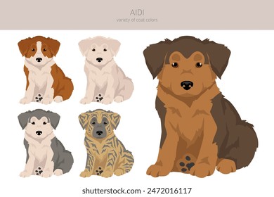 Aidi puppy clipart. Different poses, coat colors set.  Vector illustration