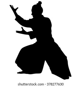 Aikido fighter