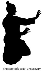 aikido samurai