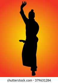 aikido samurai