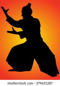 aikido samurai