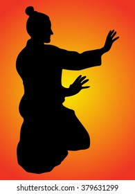 aikido samurai