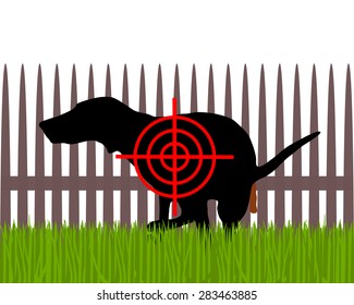 Aim at dogs crapping