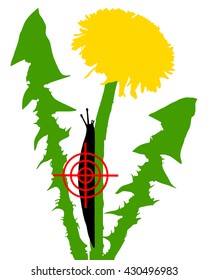 Aim at slugs on dandelion