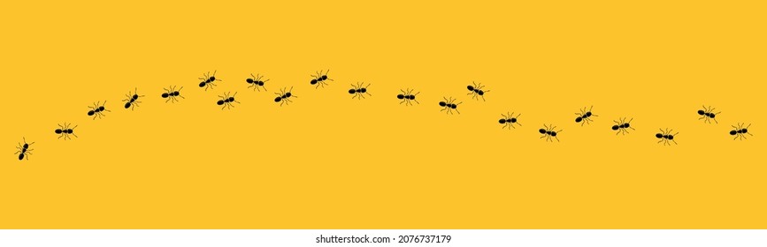 Aint trail. Ant column. Black insect silhouettes trip. Teamwork, hard work concept.