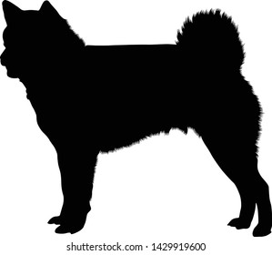 Ainu Dog Silhouette Vector Style