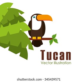 air animals design, vector illustration eps10 graphic 