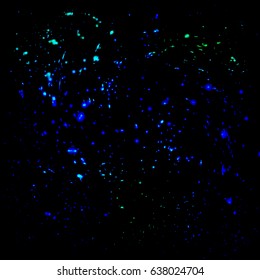 Air bubbles on a dark blue background.