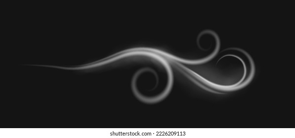 Air current of smoke or fog, isolated gale swirls and whirls of vapor or fumes. Wind blowing and howling, weather conditions. Vector in realistic style