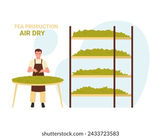 Proceso de secado al aire de hojas de té verde. Ilustración de vector de dibujos animados de producción de té natural