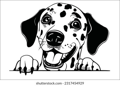 With an air of elegance, the Dalmatian's head gracefully peeks in this EPS file. This artwork captures the essence of this iconic breed, showcasing its distinctive spots and regal demeanor