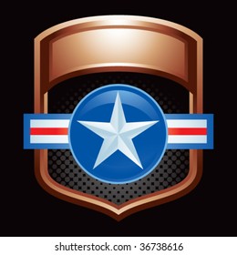 air force icon bronze badge
