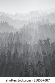 air landscape with pine forest and rays of light, black and white