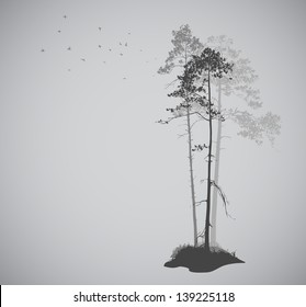 air landscape with silhouettes of pine trees and a flock of bird 3