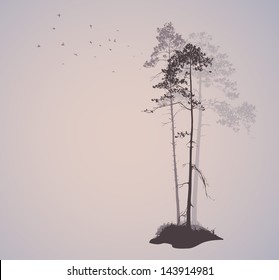 air landscape with silhouettes of pine trees