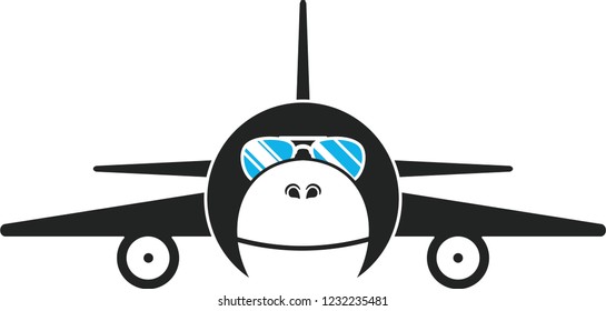 air plane ape