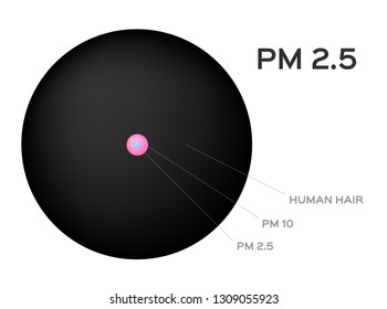 air pollution going to human lung . pm 2.5 - 10 vector