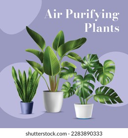 Air purifying plant collection with pots