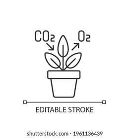 Air purifying plant linear icon. Plants clean the air through the process of photosynthesis. Thin line customizable illustration. Contour symbol. Vector isolated outline drawing. Editable stroke