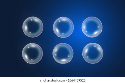 Air soap bubbles on a transparent background .Vector illustration of bulbs.	
