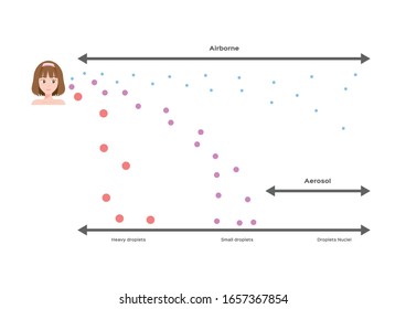 airborne infection, droplets size / spreads diseases vector / long and short