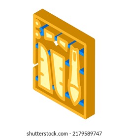 aircraft assembly isometric icon vector. aircraft assembly sign. isolated symbol illustration