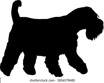 Airedale dog black silhouette on white background