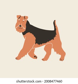 Airedale dog. Vector illustration. Flat style. Isolated on light background. Fanny animals, doglover, breads, home pats, four-legged friend. Design for pins, stickers, zoo, pet shop.
