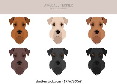 Airedale terrier, all colour clipart. Different coat colors, set. Vector illustration