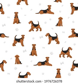 Airedale terrier, all colour seamless pattern. Different coat colors, set. Vector illustration