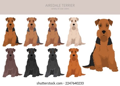 Airedale terrier all colours clipart. Different coat colors set. Vector illustration