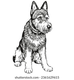 Airedale Terrier dog engraved vector portrait, face cartoon vintage drawing in black and white