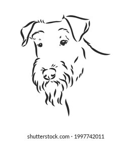 Airedale Terrier Dog. hand drawn. Vector illustration