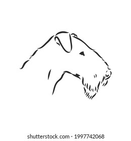 Airedale Terrier Dog. hand drawn. Vector illustration