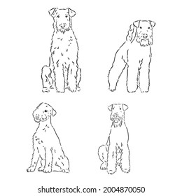 Airedale Terrier Dog. hand drawn. Vector illustration