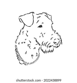 Airedale Terrier Dog. hand drawn. Vector illustration