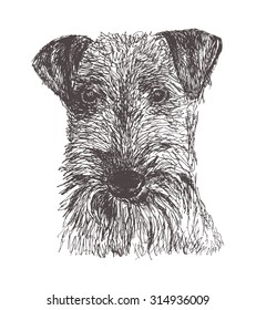 Airedale Terrier Dog on white background. Isolated. Hand-drawn vector illustration. It may be used for dog clubs, kennel clubs, backgrounds.