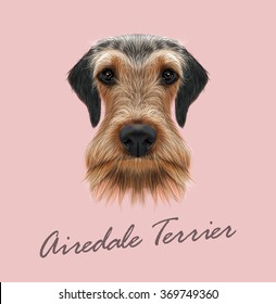 Airedale Terrier Dog Portrait. Vector illustrated Portrait of Airedale Terrier on pink background