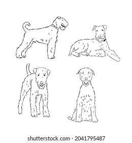 airedale terrier dog simple vector sketch illustration on a white background