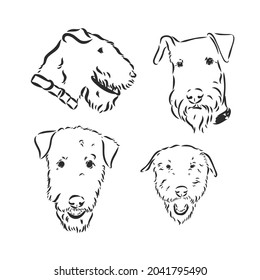 airedale terrier dog simple vector sketch illustration on a white background