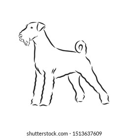 airedale terrier dog sketch, contour vector illustration 